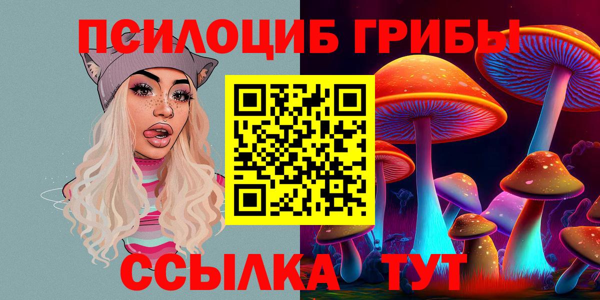 Псилоцибиновые грибы GOLDEN TEACHER Бугуруслан