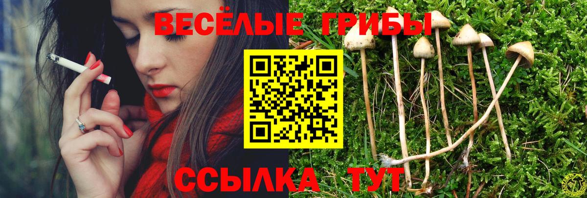 Галлюциногенные грибы Psilocybine cubensis  Вход с VPN  Бугуруслан 